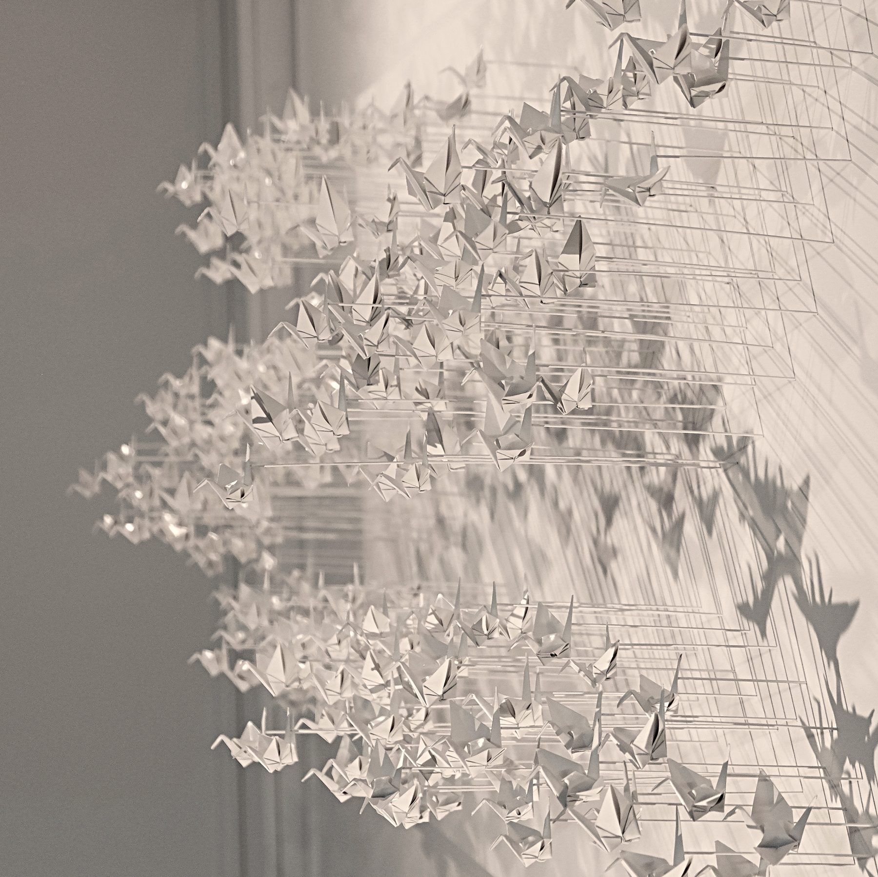 Murmuration 23, flock of white paper cranes on a panel.