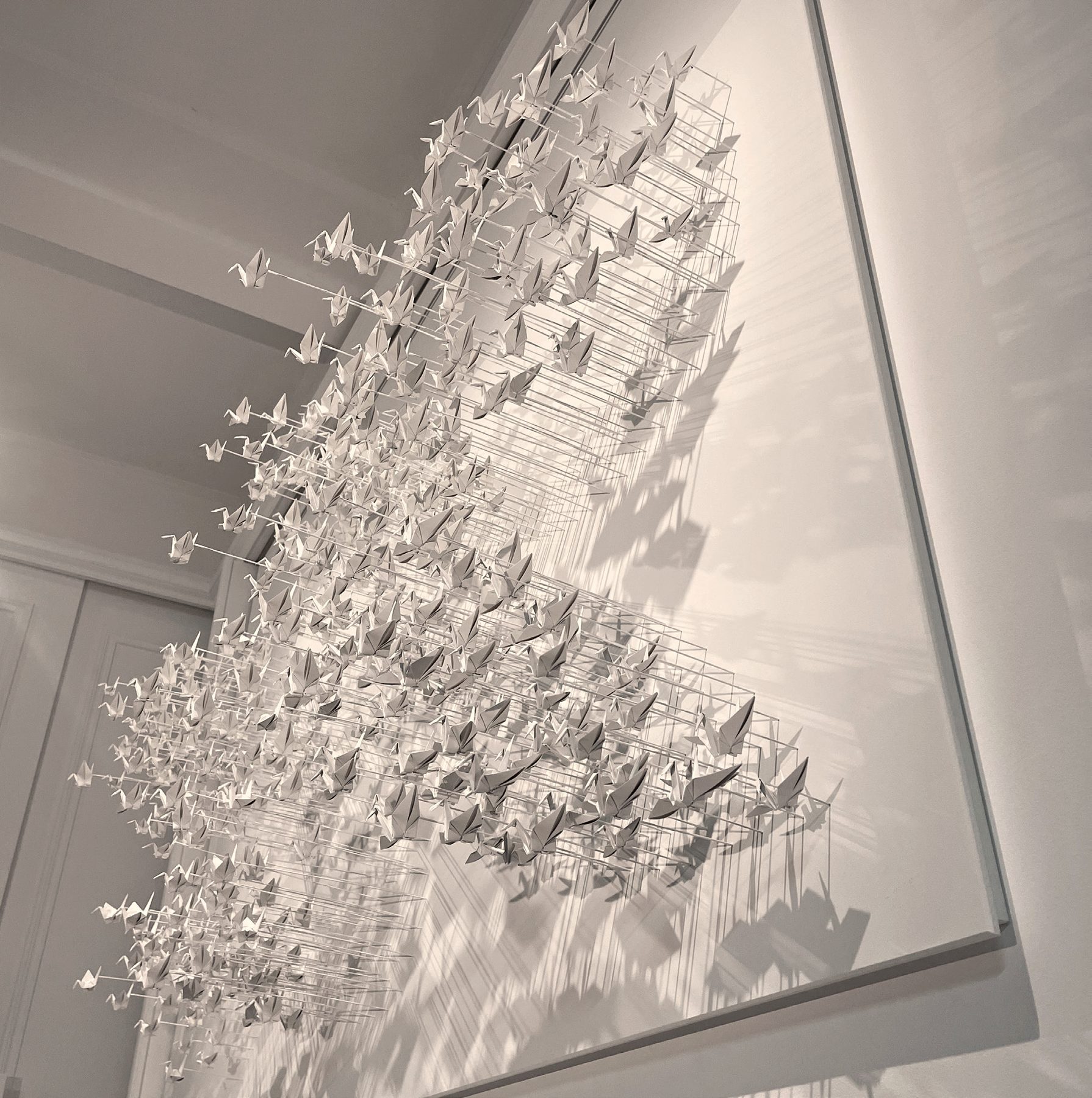 Murmuration 31, flock of white paper cranes on a panel.